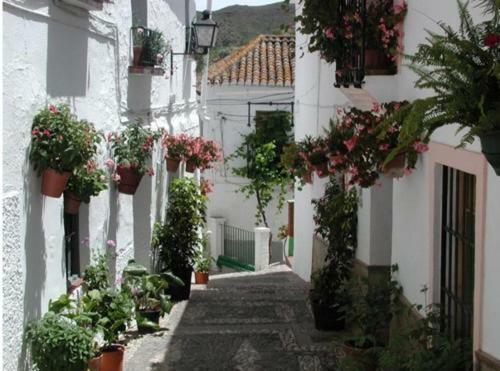 "El Porton" Appartement Borge Buitenkant foto